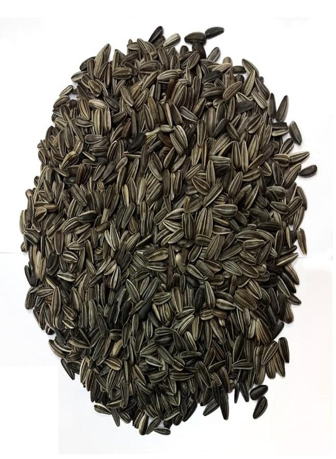 PMK Striped Sunflower Seed - 900g, Birds Food for Conures, Lovebirds, Cockatiels, African Grey, Macaws, Cockatoo,Parakeets, Parrots and Exotic Birds Ingredients, Nutrient-Rich Birds Food, Pack of 1 - Image 4